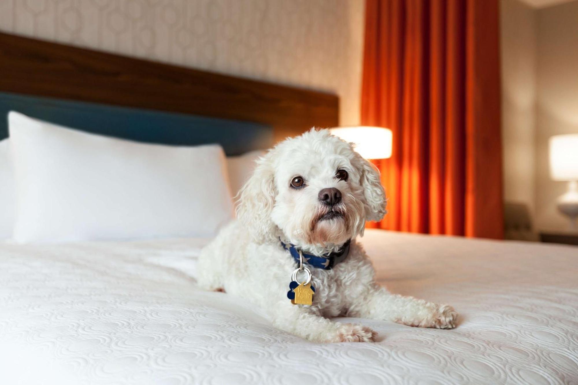 Home2 Suites By Hilton Mt Pleasant Charleston Mount Pleasant Ngoại thất bức ảnh